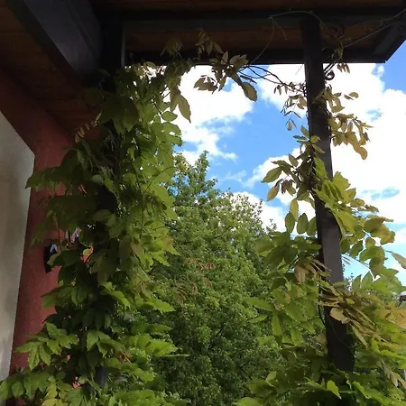 Gente Di Mare לינה וארוחת בוקר 3*