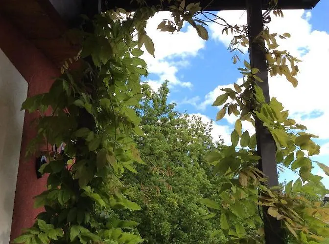 Gente Di Mare Nocleg ze śniadaniem 3*